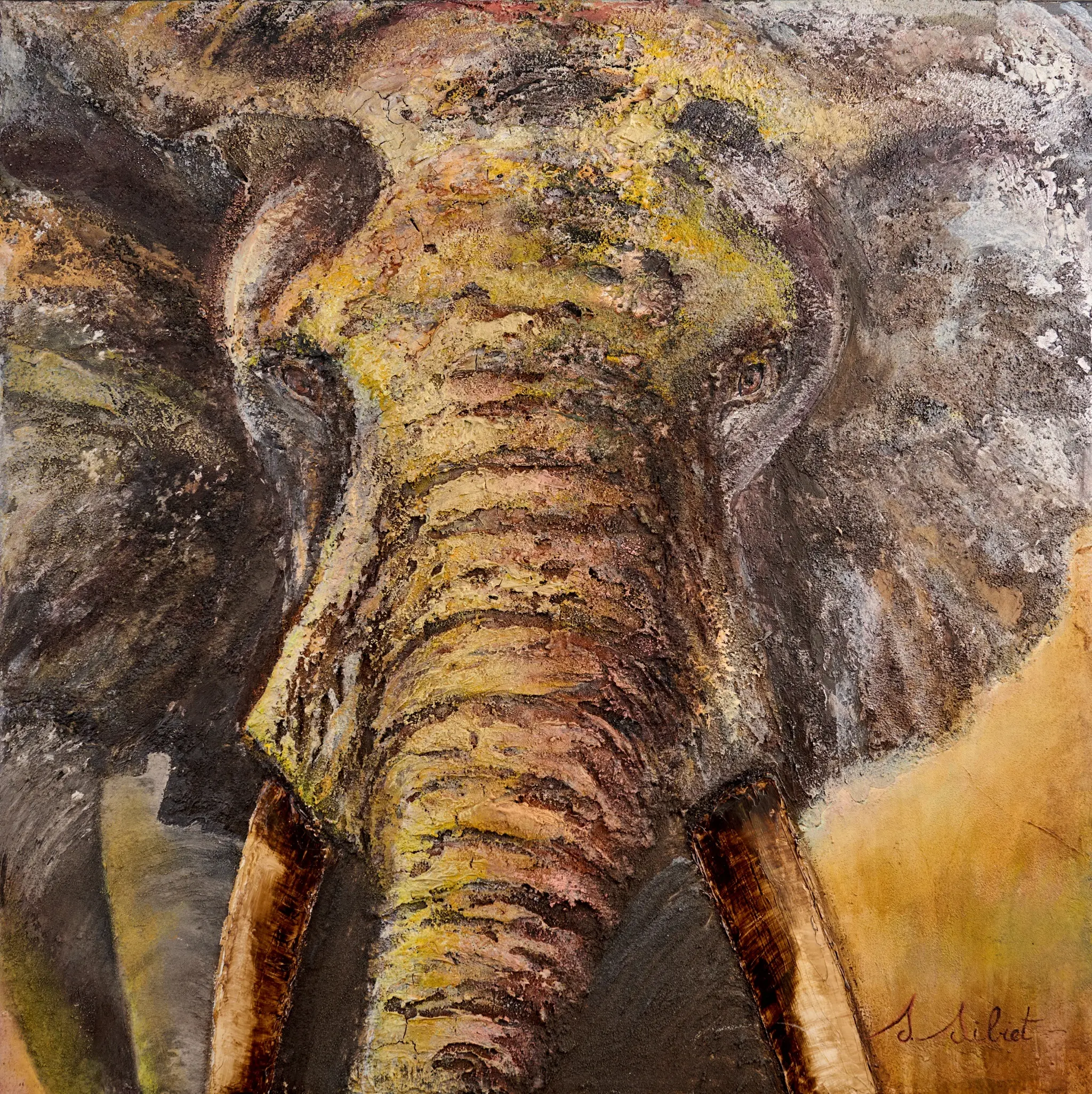 Femelle éléphant
