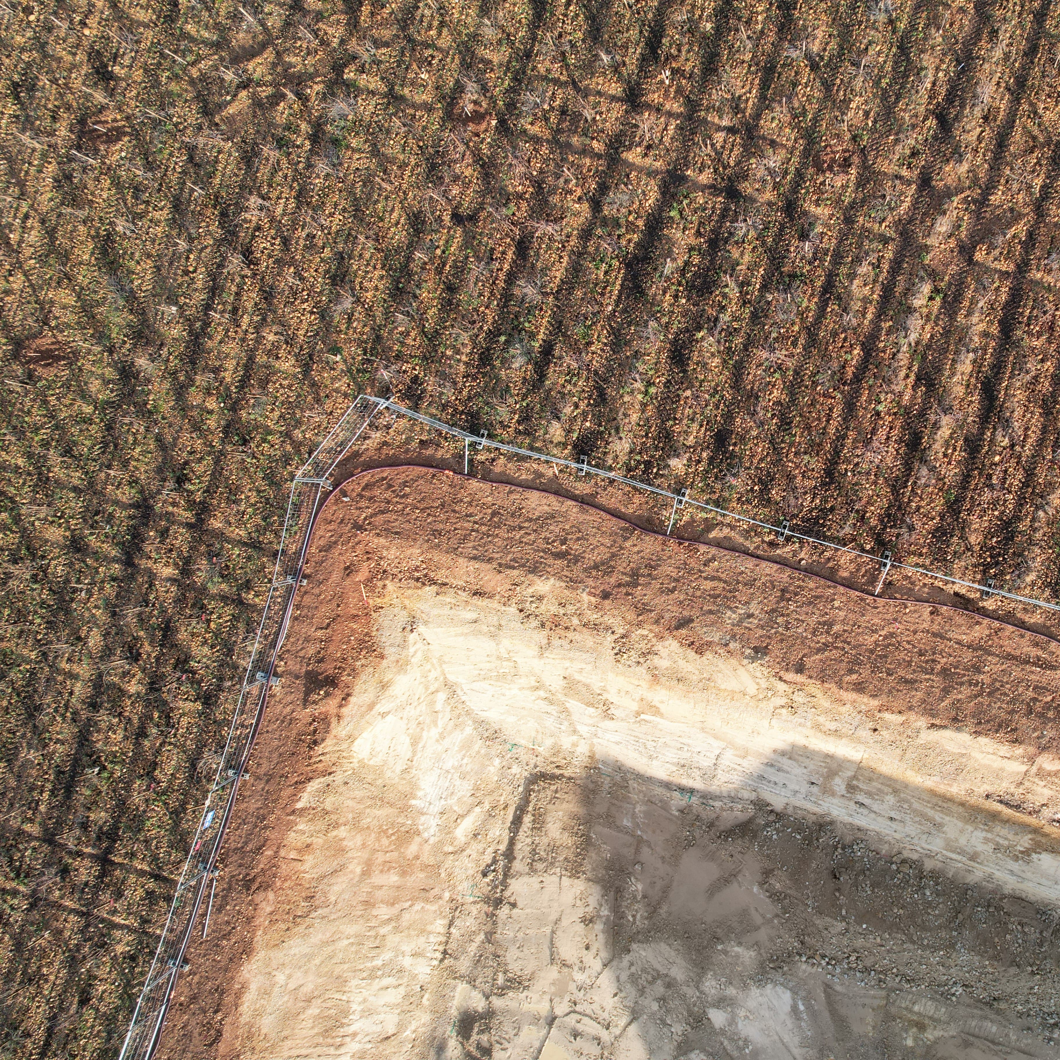 Aerial view of a dirt construction site next to a planted field with shadows of vines.