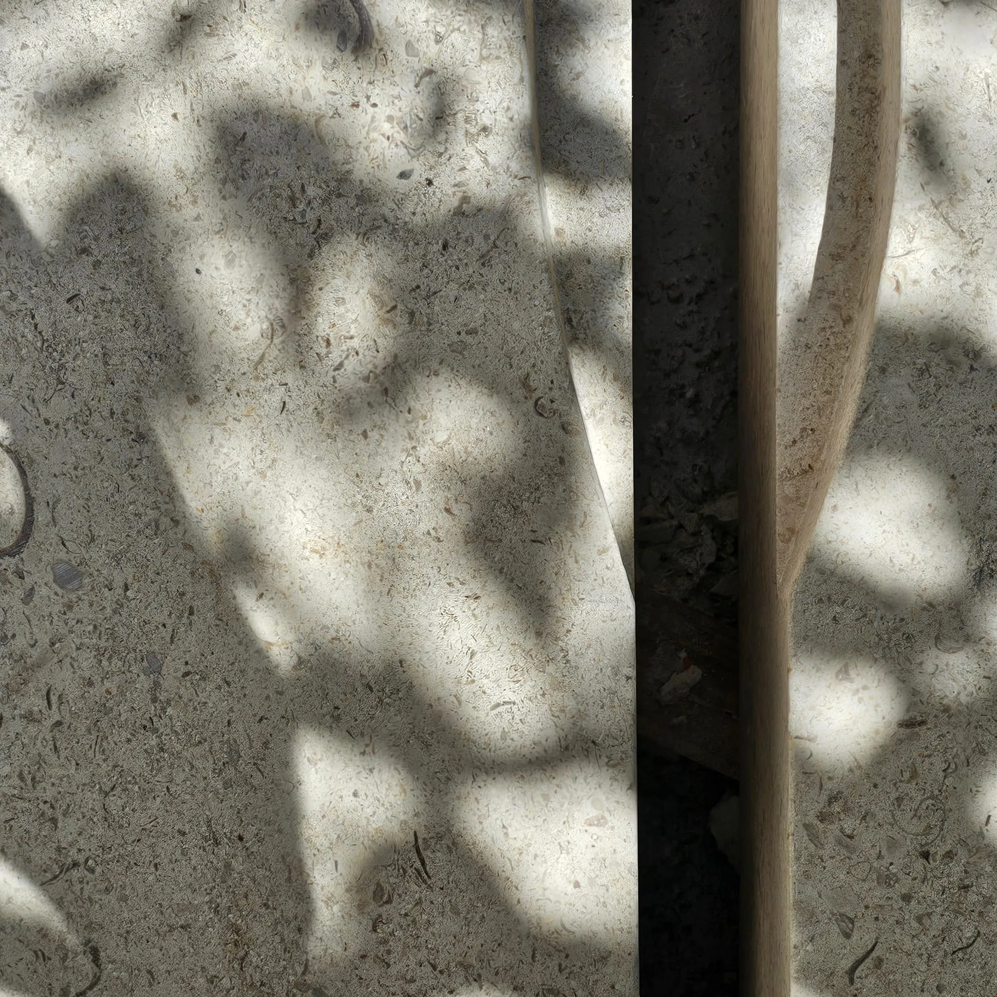 Shadow of large leaves cast on textured stone surface with a narrow dark gap.