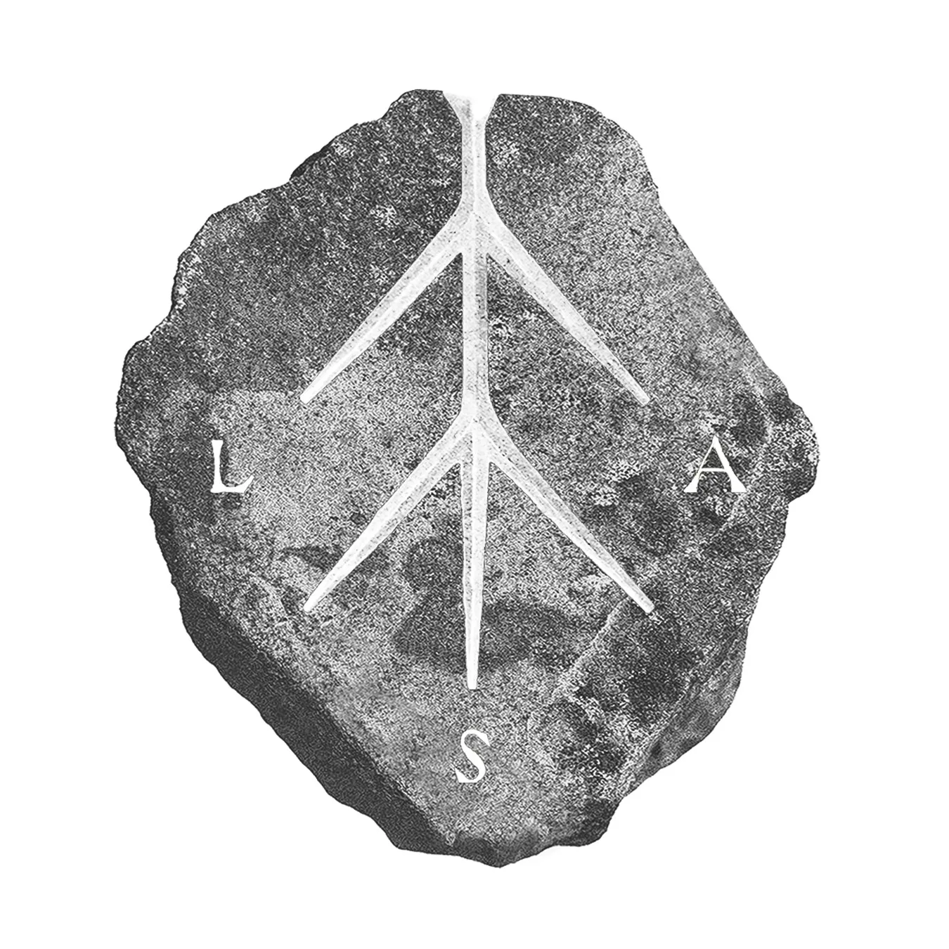LSA Logo - Gray stone with carved branching symbol