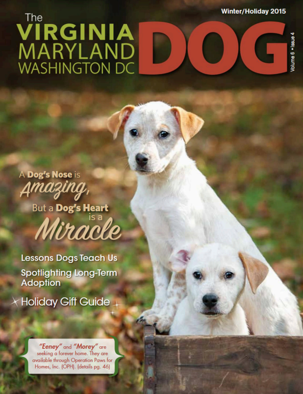 An image of magazine issue from "Virginia-Maryland-Washington DC Dog Magazine"