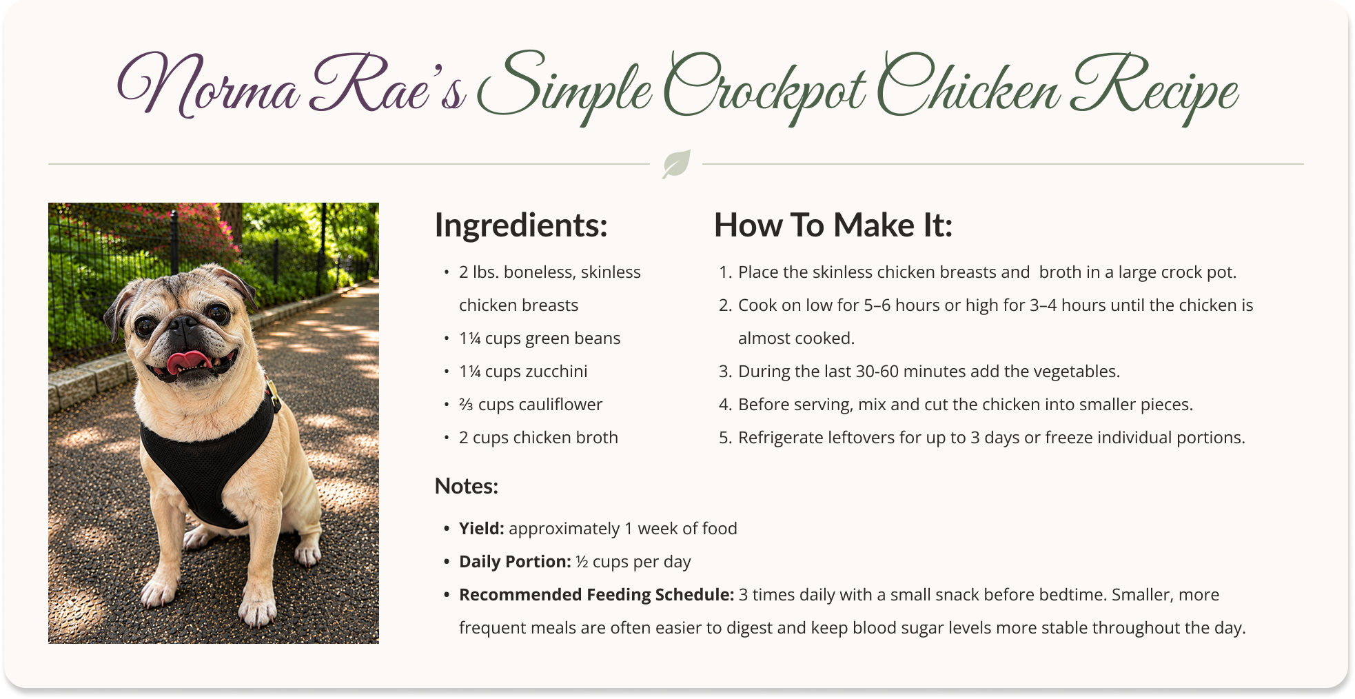 An example of a homemade recipe card title "Norma Rae’s Simple Crock Pot Chicken Recipe", with a picture of Norma Rae, a pug, and the recipe's ingredients, instructions, and notes for storage and feeding instructions specific to Norma Rae. 