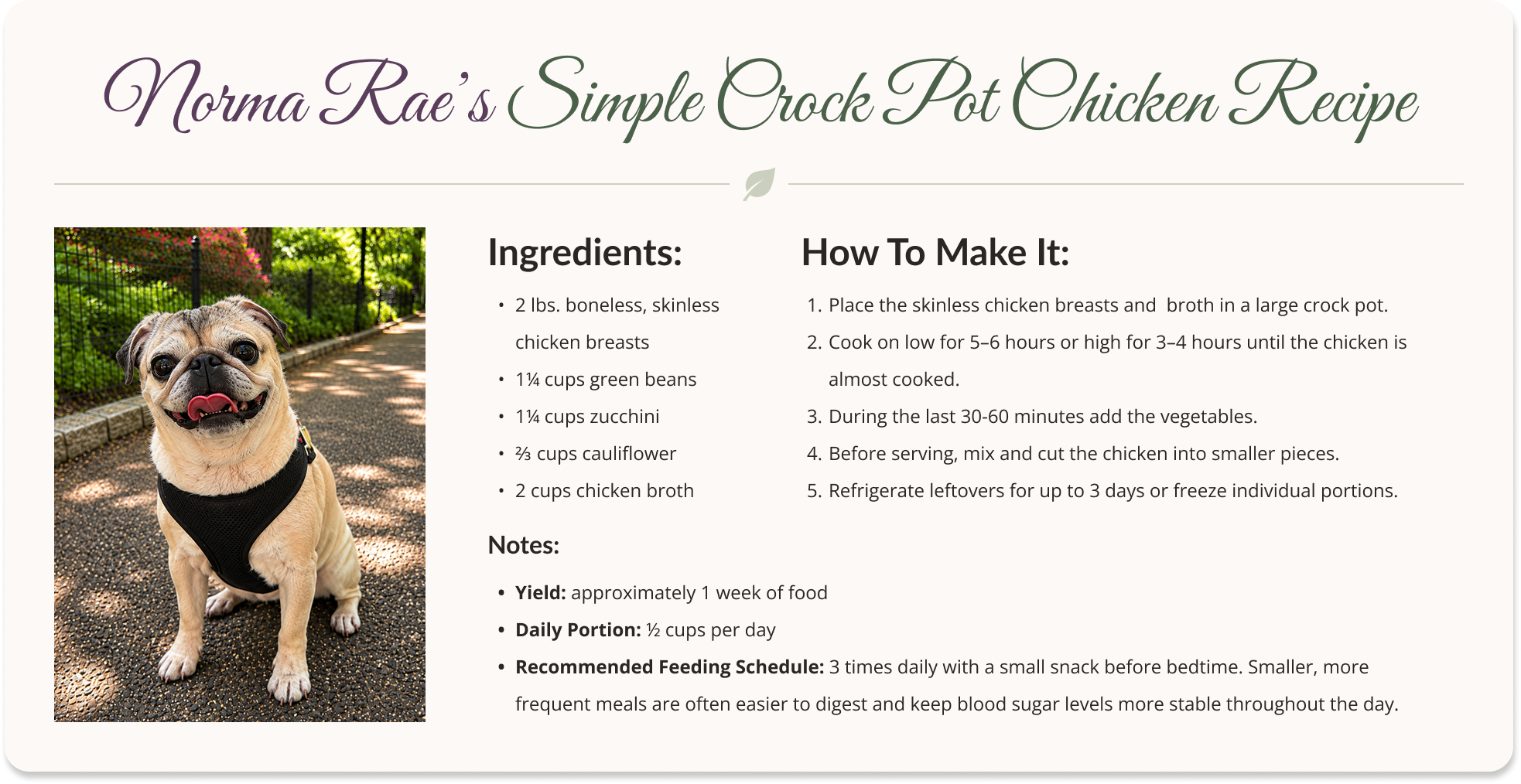 An example of a homemade recipe card title "Norma Rae’s Simple Crock Pot Chicken Recipe", with a picture of Norma Rae, a pug, and the recipe's ingredients, instructions, and notes for storage and feeding instructions specific to Norma Rae. 