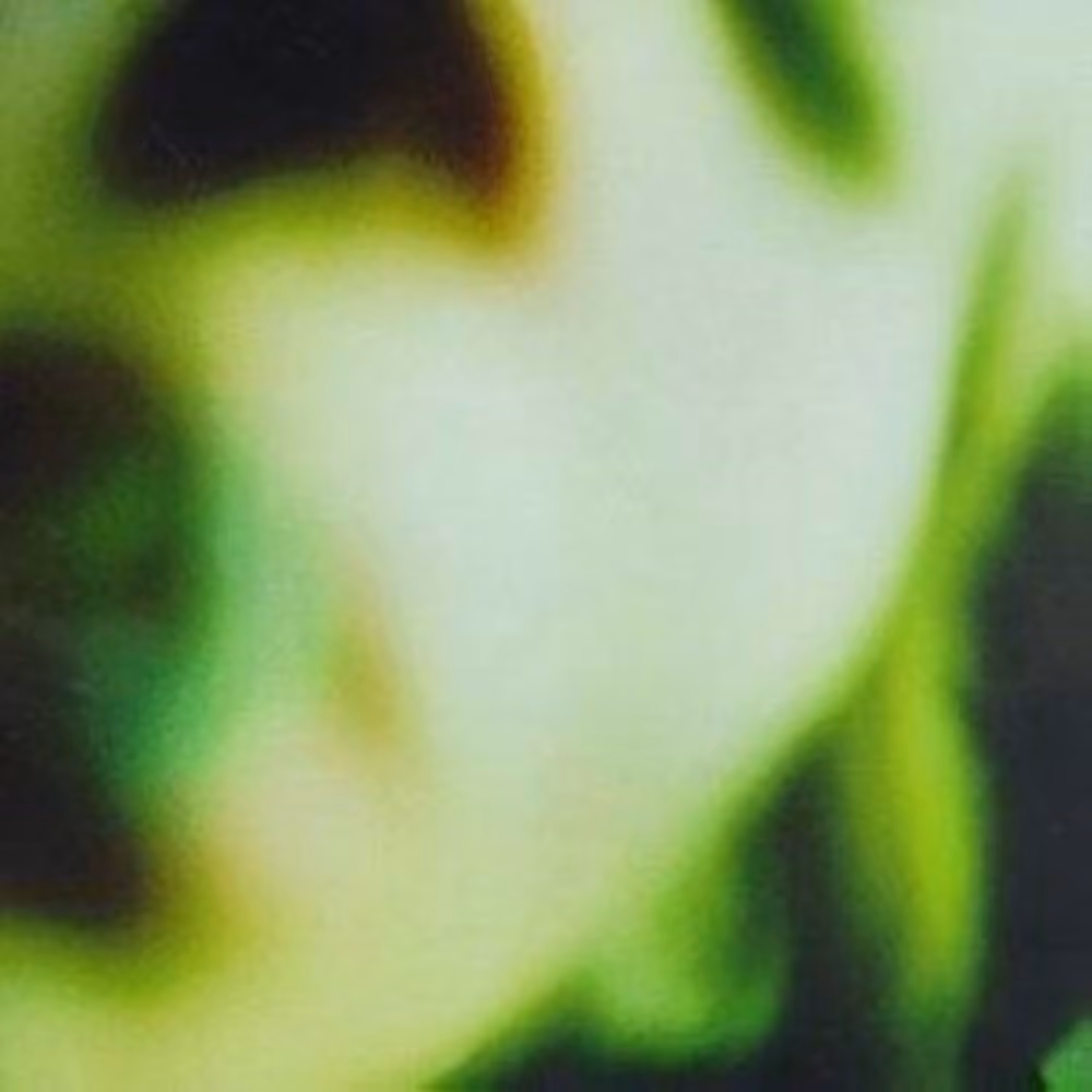 Personal Image of a member from Flow Ninja.