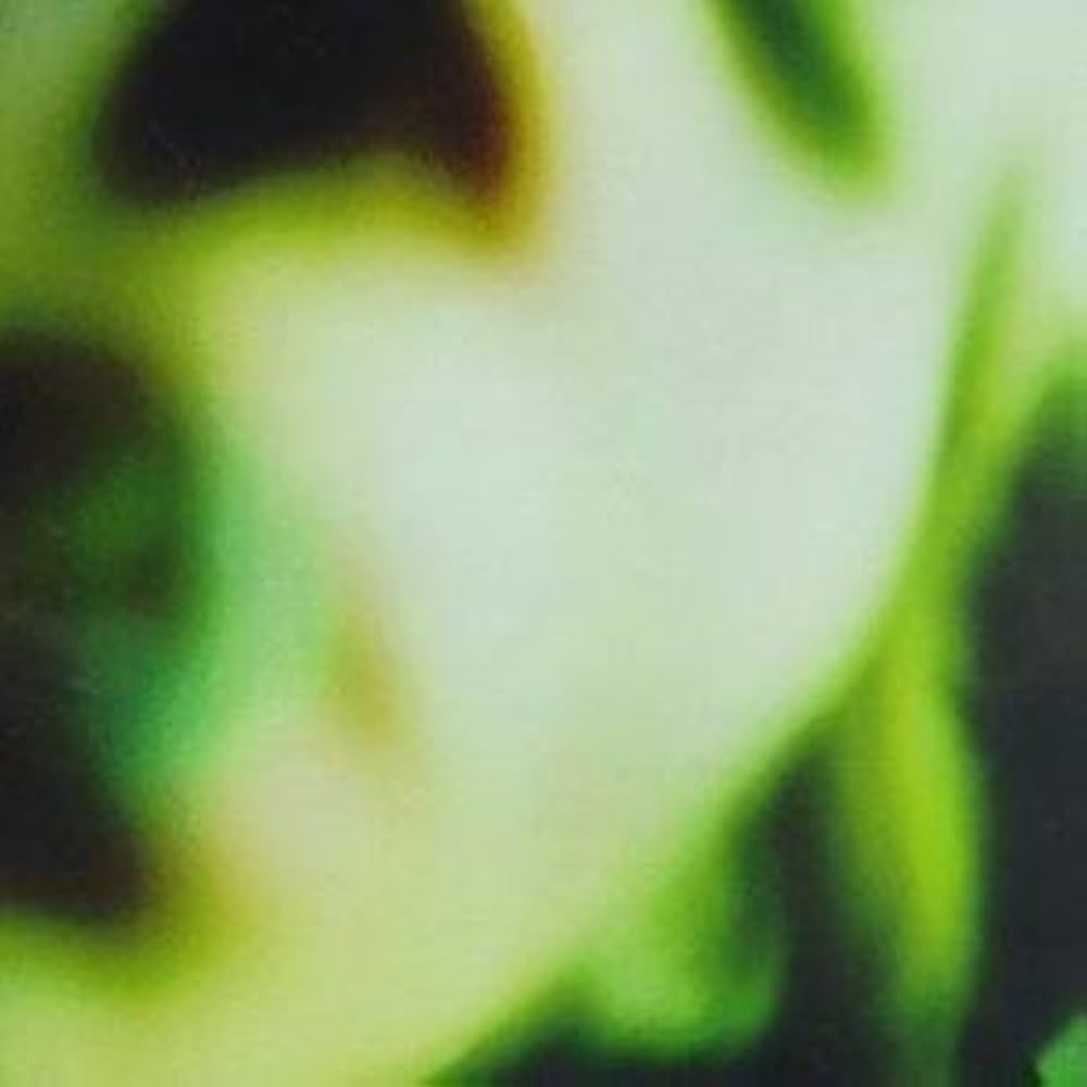 Personal Image of a member from Flow Ninja.