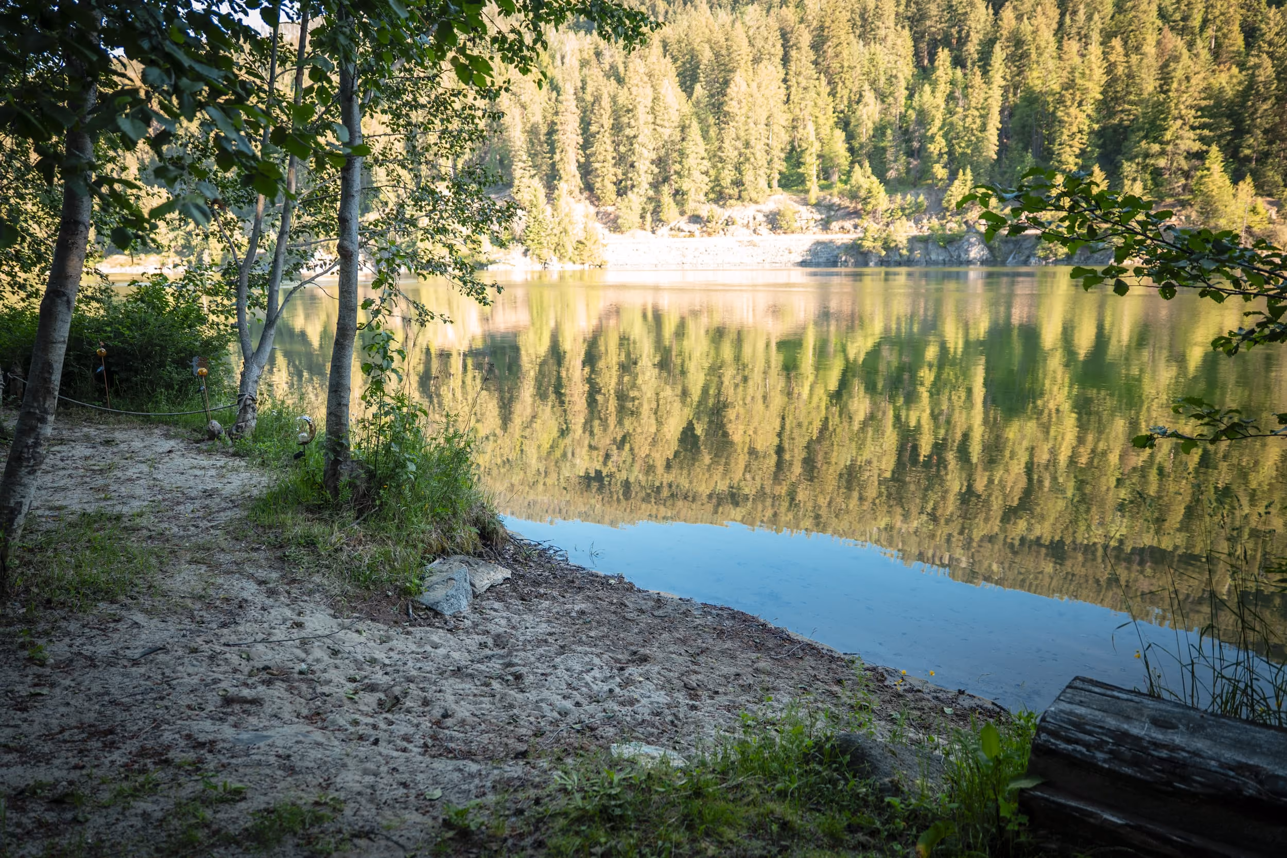 Sandy riverbank with trees reflected in calm water and dense pine forest in the background.