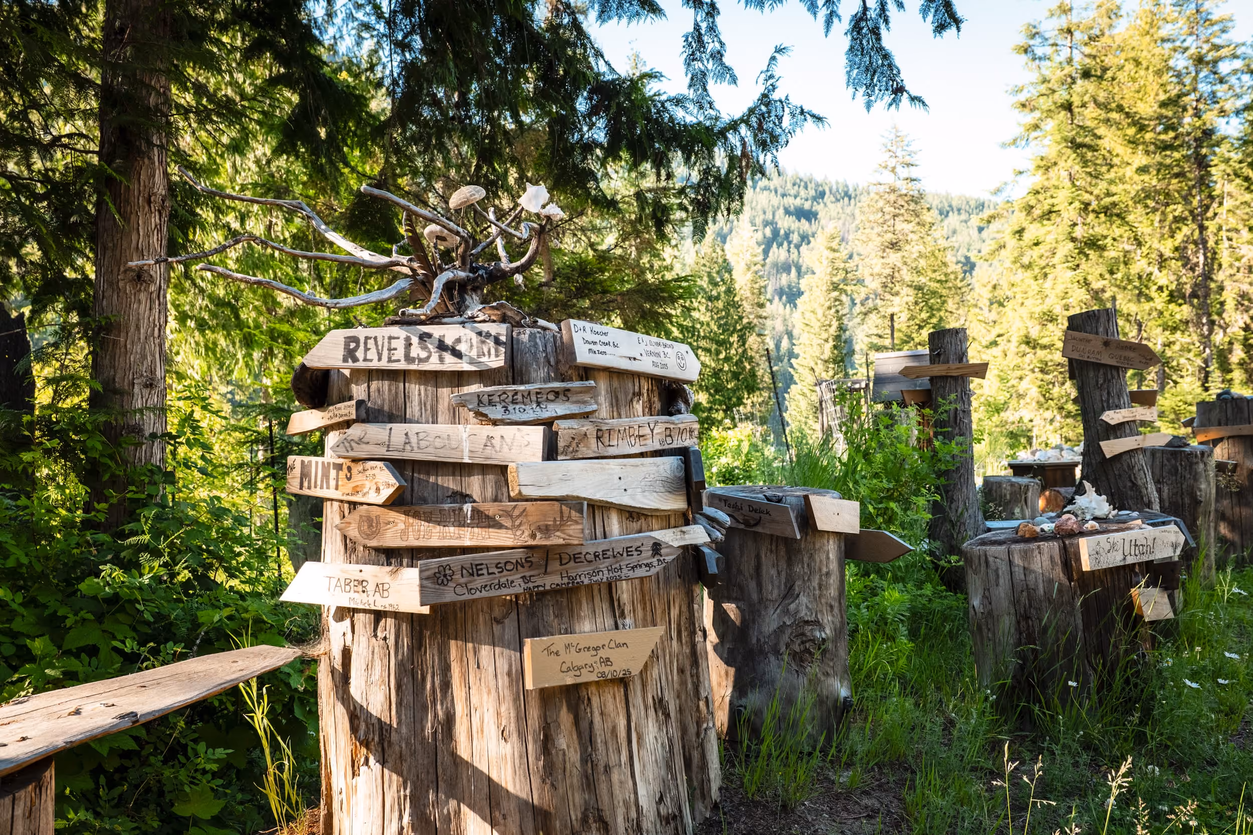 Rustic wooden signposts with handwritten names on tree stumps in a sunlit forest clearing.