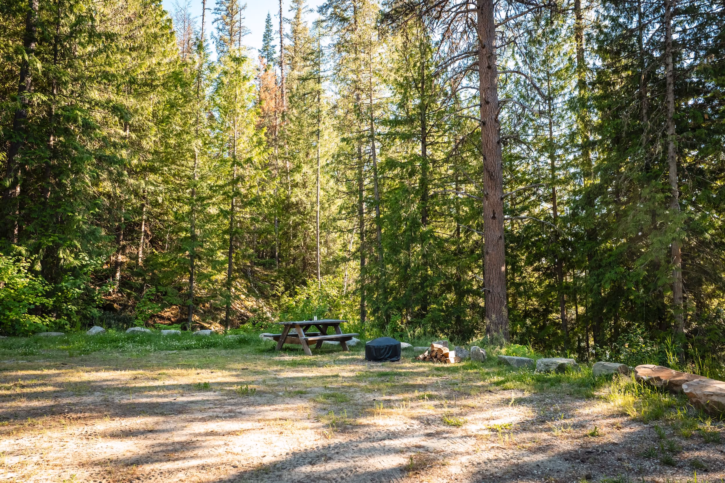 Sunlit forest clearing with picnic table, fire pit, stacked firewood, and stone seating.