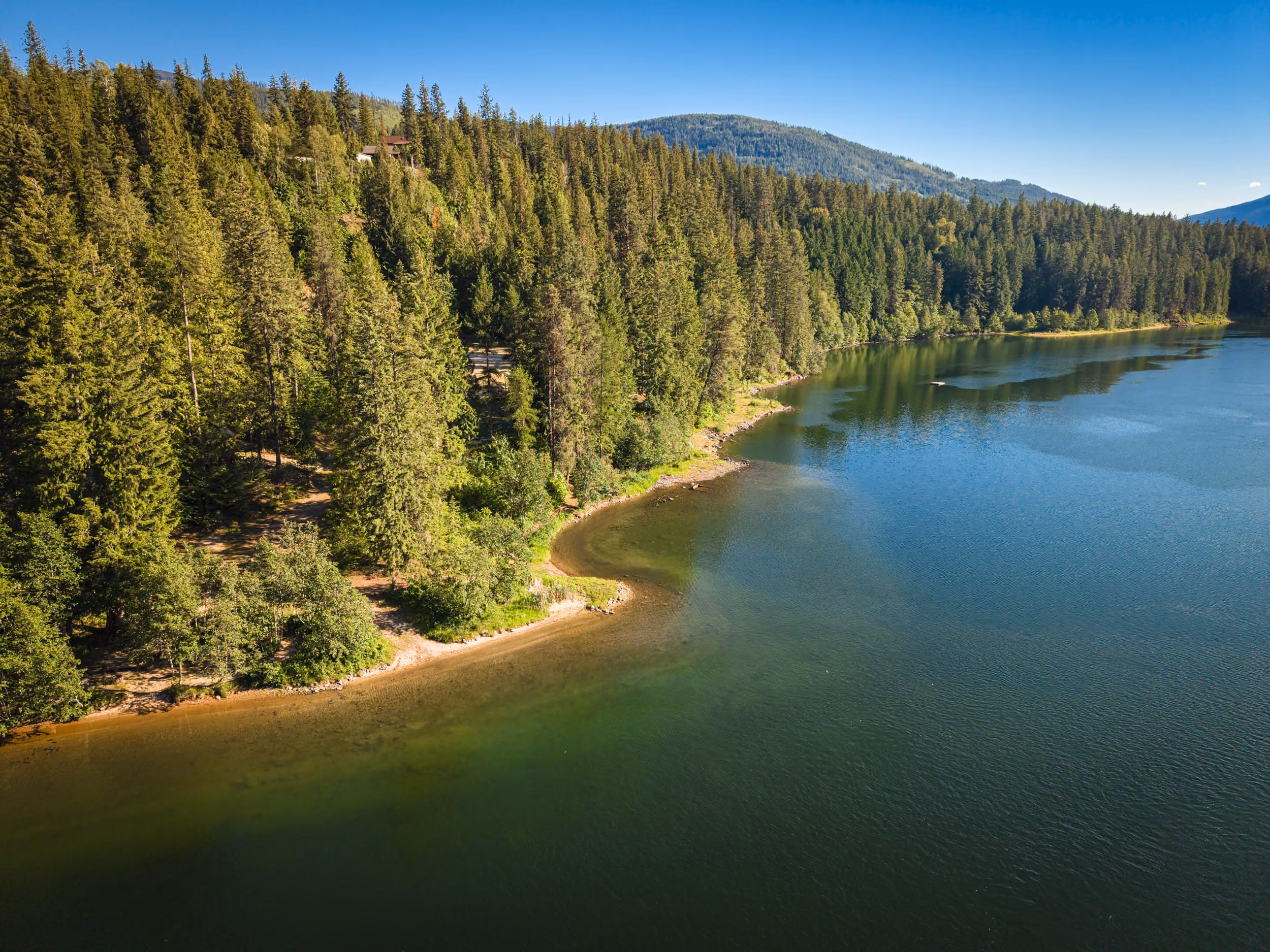 Aerial view of a forested lakeshore with clear water and mountains in the background under blue sky.