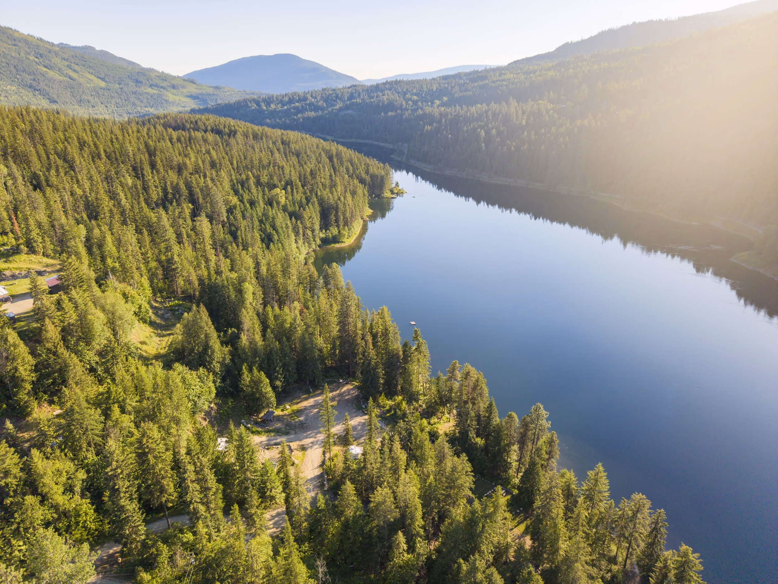 A calm river winds through a dense green forest with mountains in the background under soft sunlight.