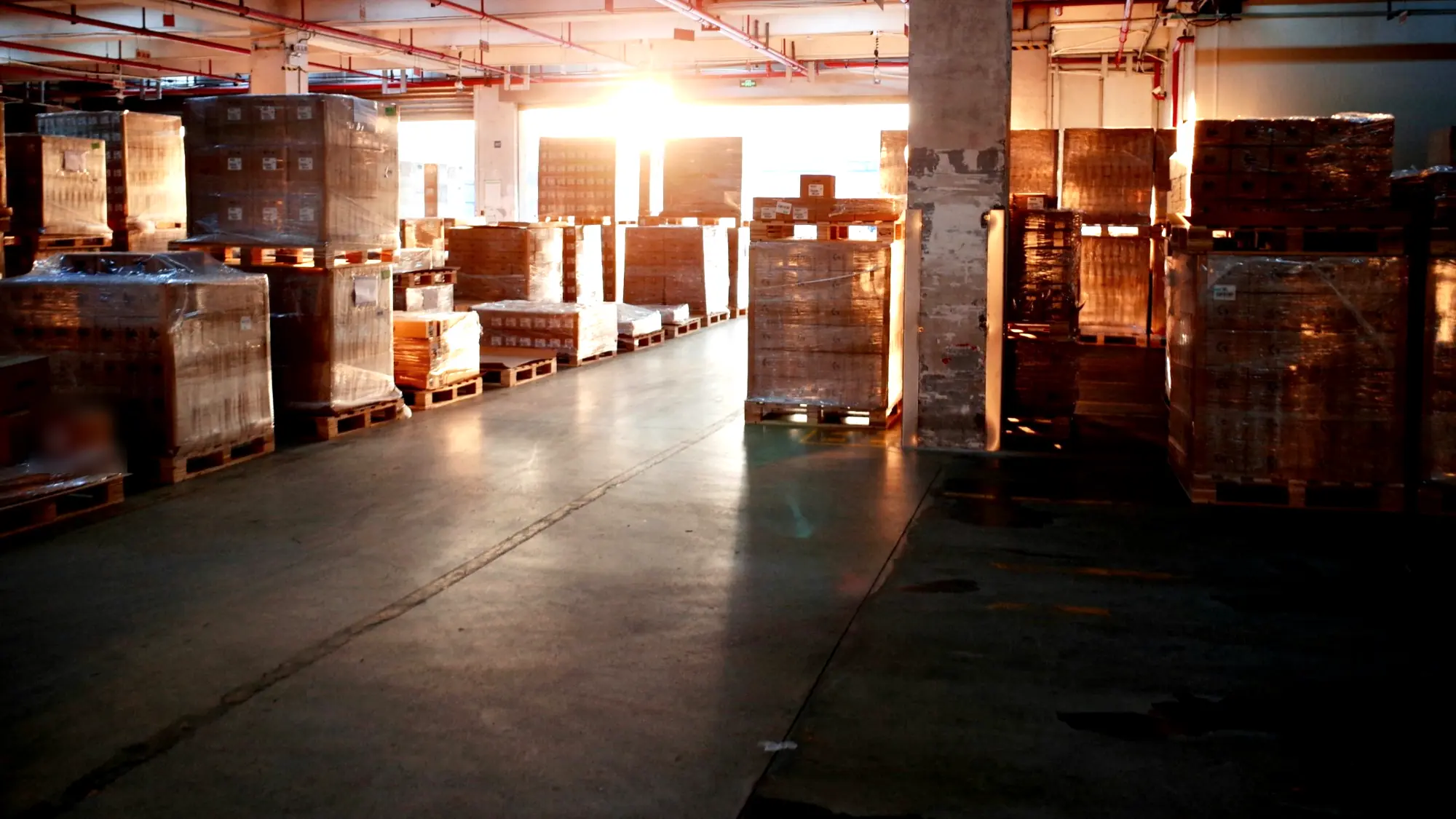 Shrink-wrapped pallets of boxed product in a warehouse, with sunlight coming through an open dock door