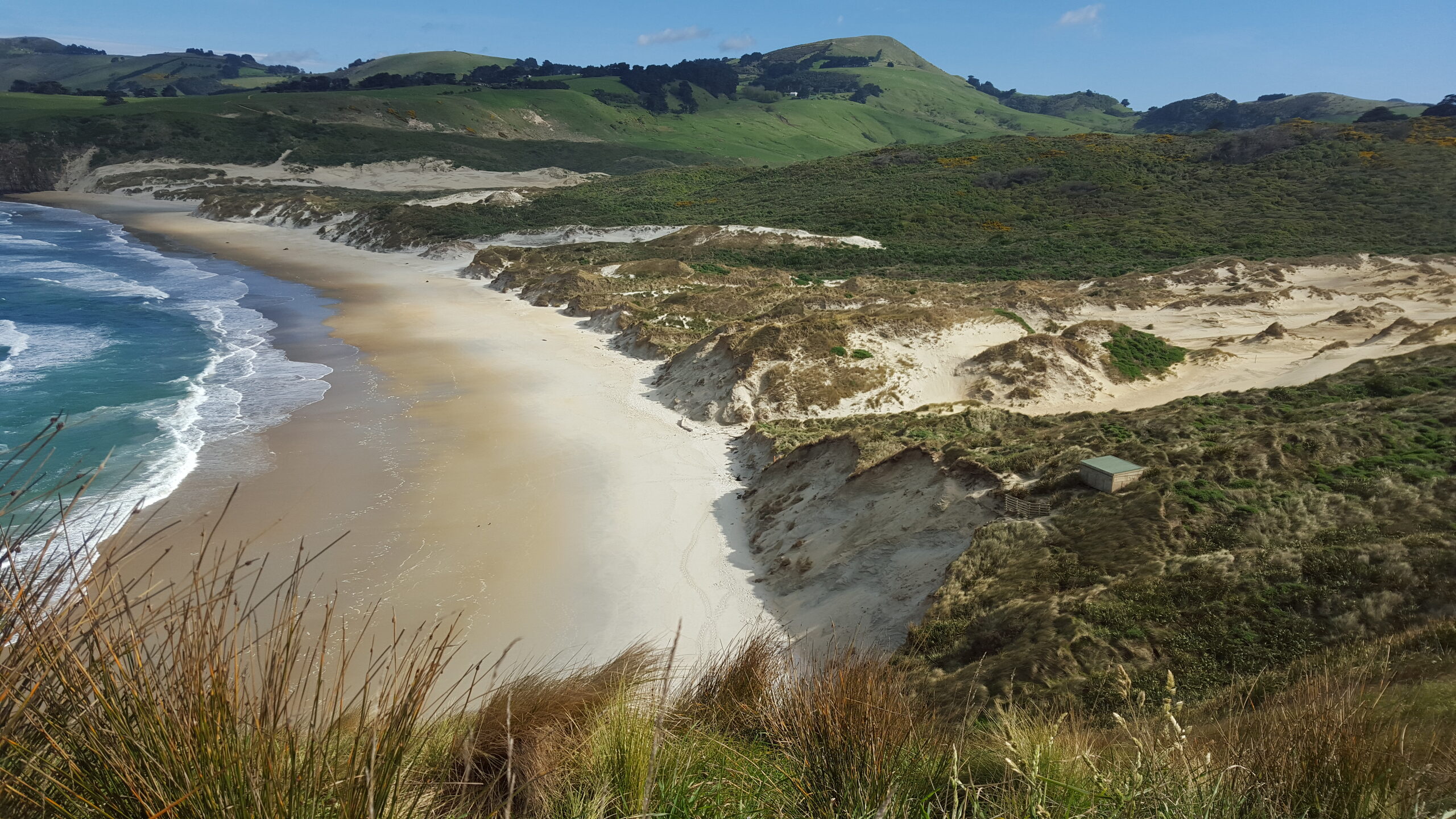 Nugget Point, the Catlins