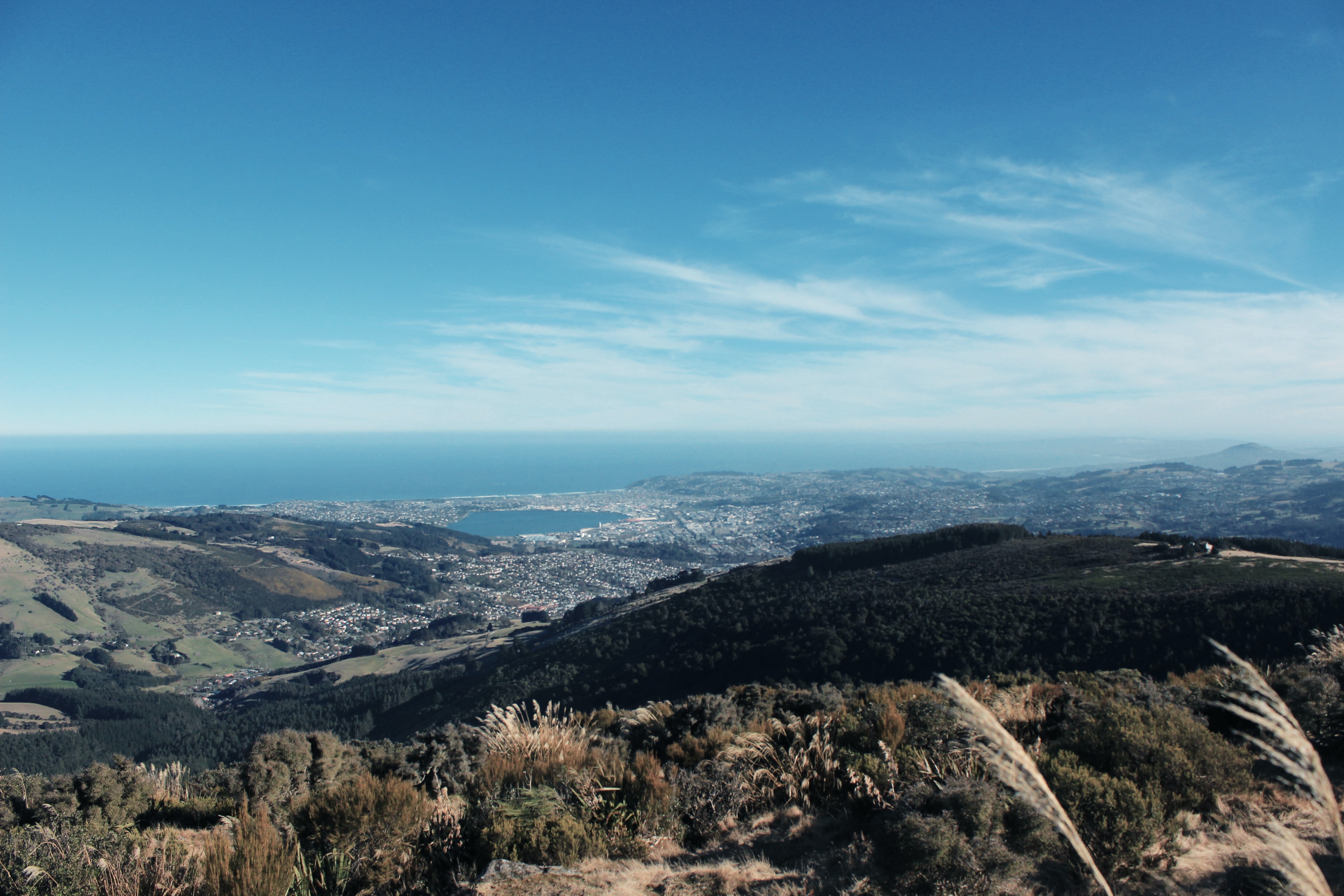 Dunedin Tours