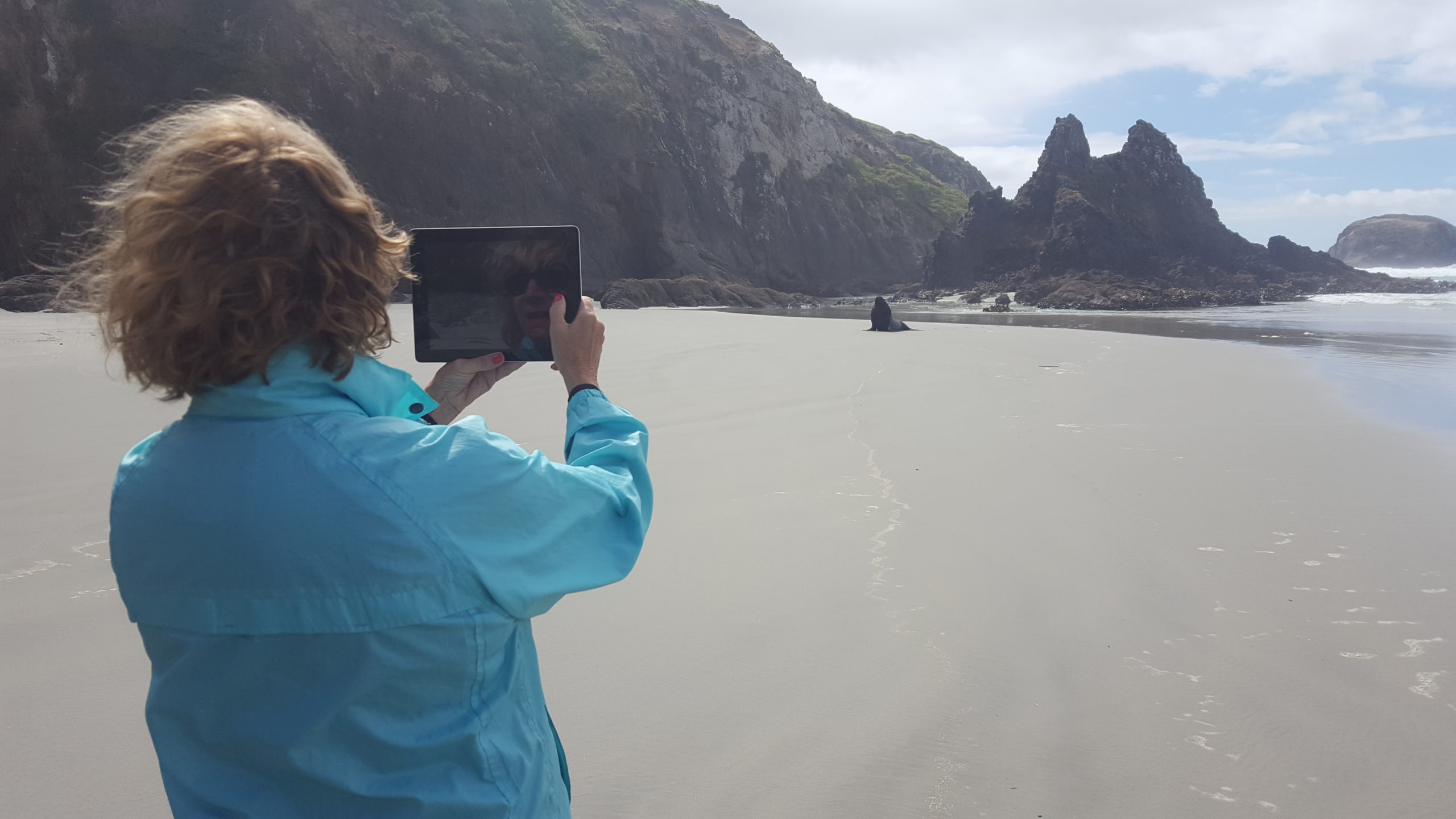Person in blue jacket uses tablet to photograph a sea lion on a sandy beach with rocky cliffs.