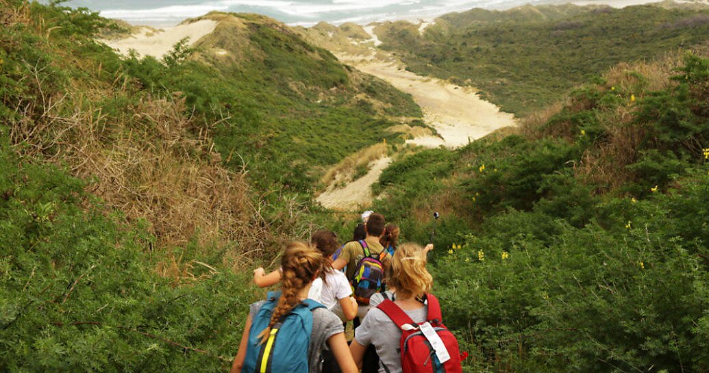 Private tours