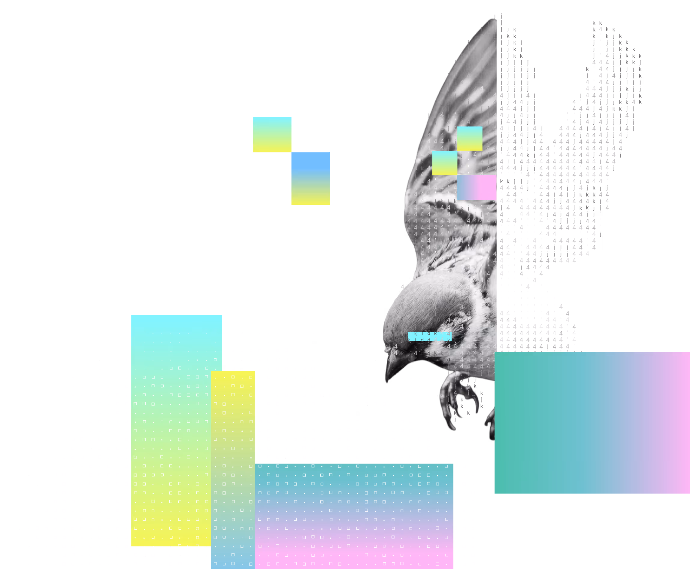 Black and white bird partially pixelated with colorful gradient blocks on black background.