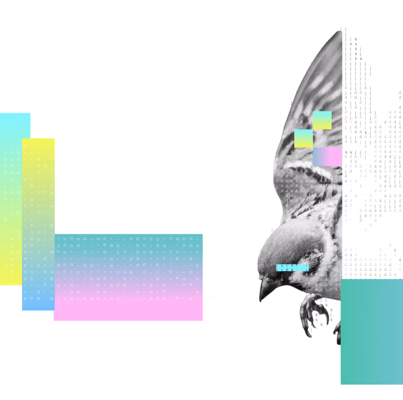 Black and white bird in flight with colorful glitch effects and pixelated blocks on black background.