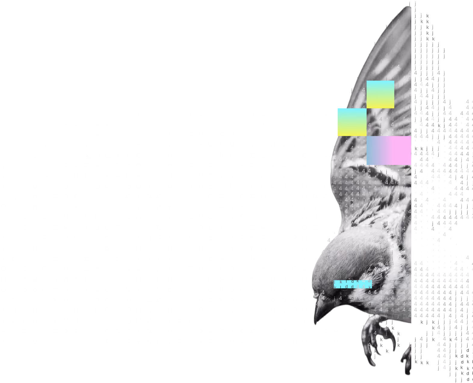 Black and white bird in flight with colorful glitch effects and pixelated blocks on black background.