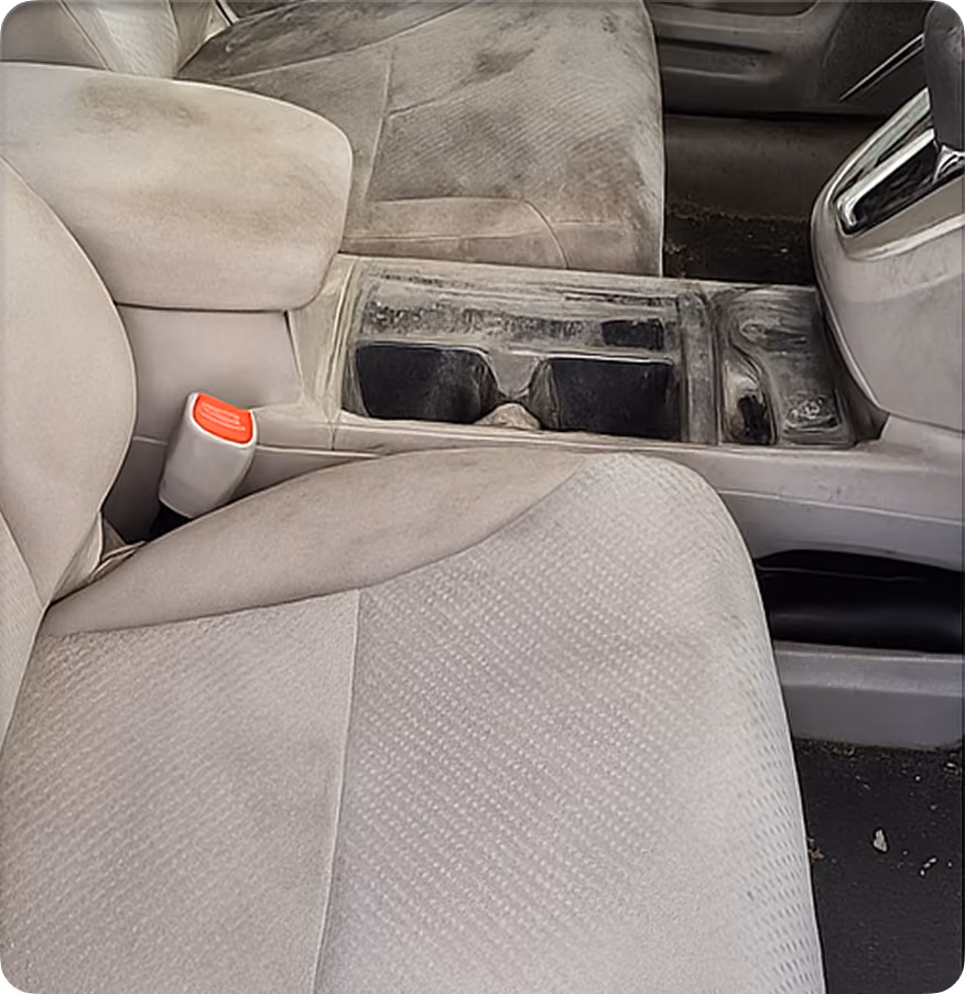 Detailed vehicle exterior with restored shine and finish