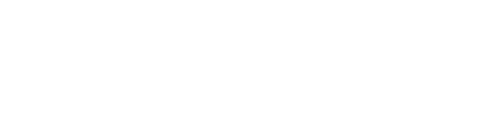 DVDW