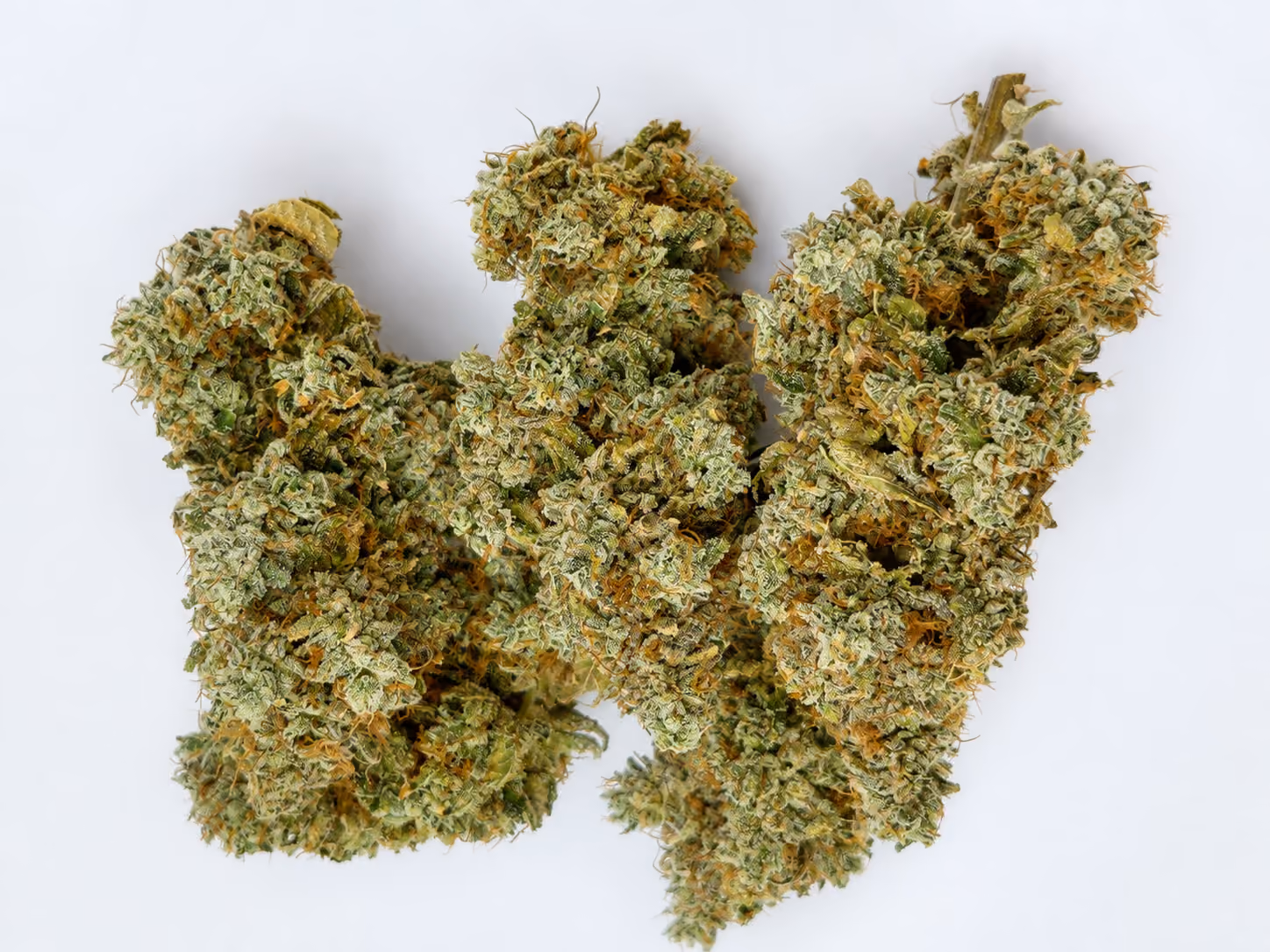 Close-up of three cannabis buds with orange hairs and crystals on a white background.
