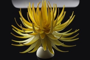 Chocolate decorations flower