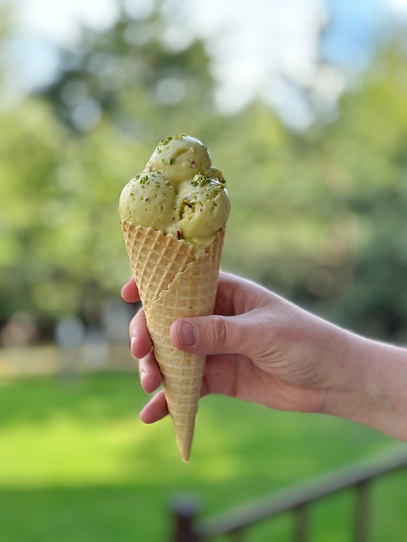 Frozen desserts from the Ice Cream and Gelato course