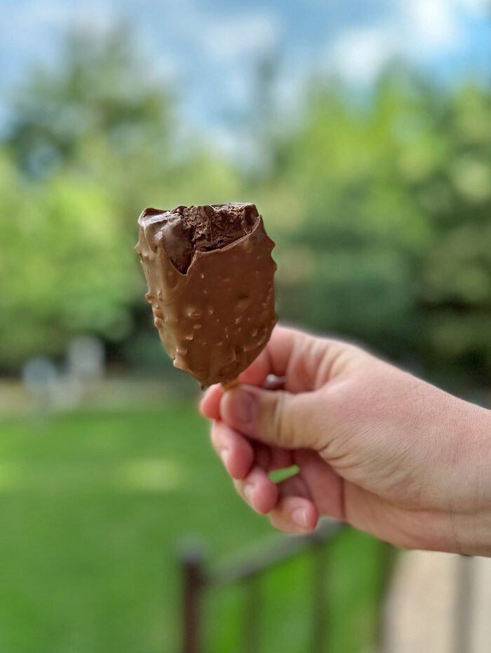 Chocolate ice cream bar with nut chocolate coating
