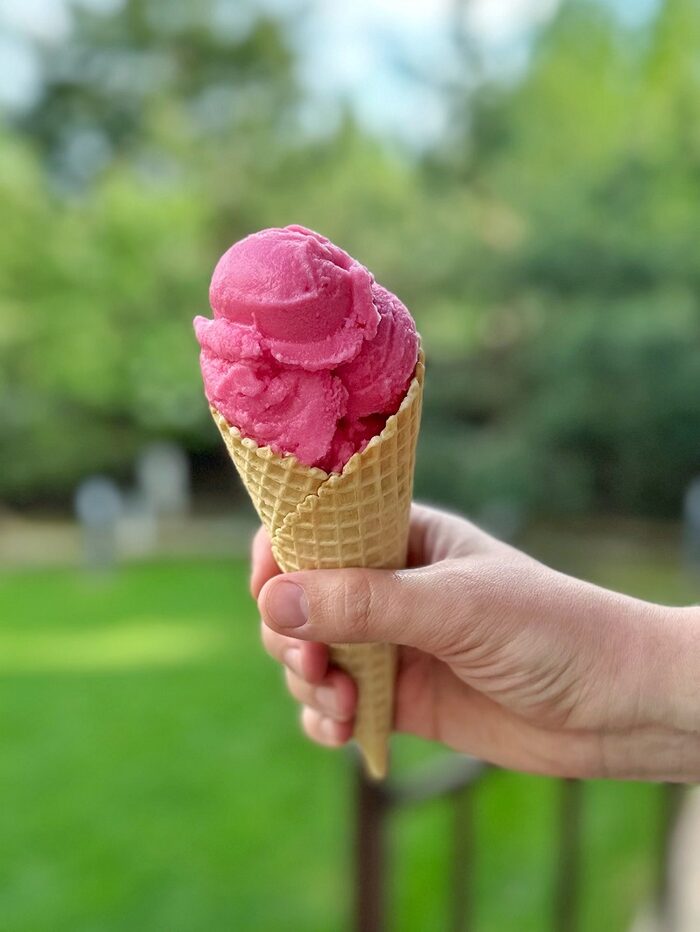 Pomegranate sorbet