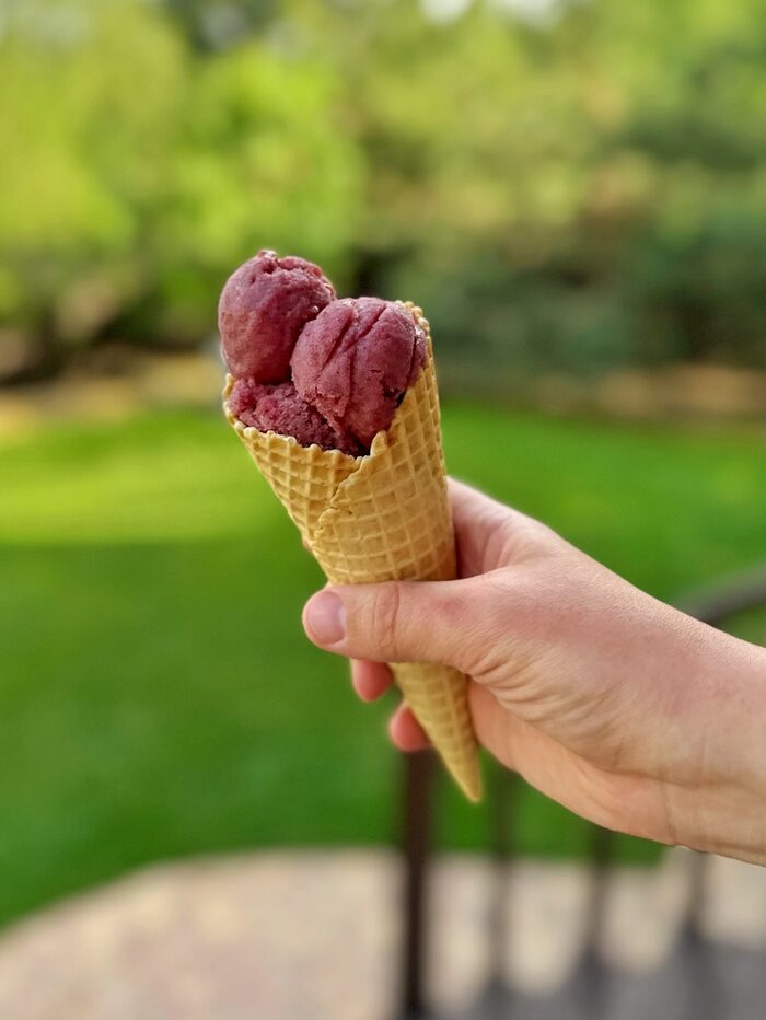 Mulled wine sorbet