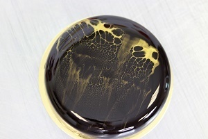 Leopard glaze decor
