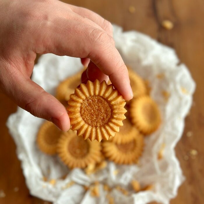 Hazelnut Sun