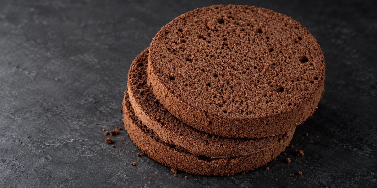 Chocolate sponge cake cut into round layers showing the crumb