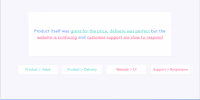 customer verbatim