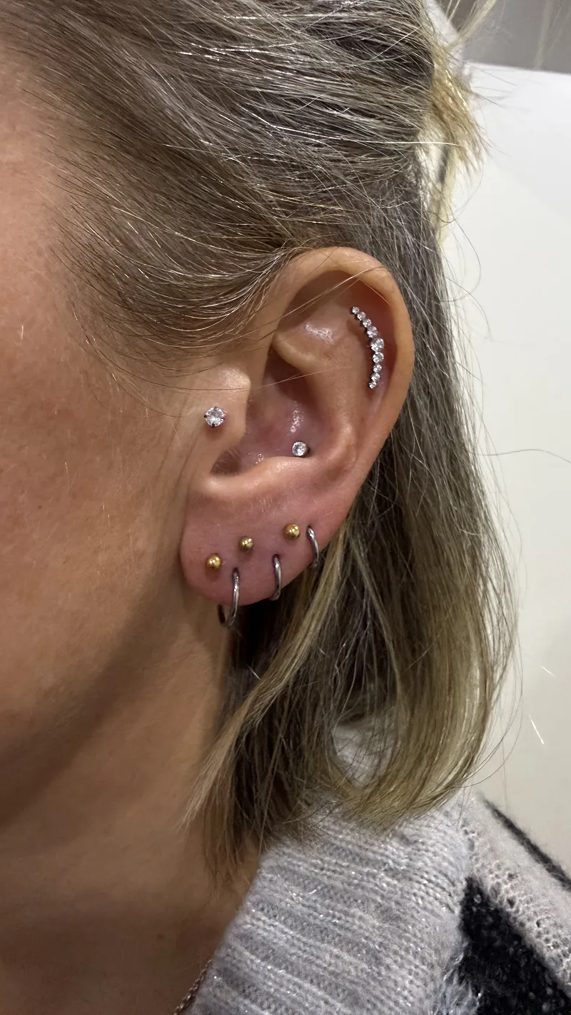Ohrpiercings bei INK SOCIETY Kiel – professionell gestochen