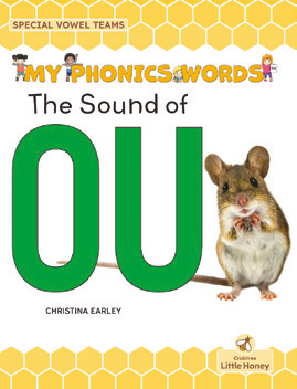 Special Vowel Teams