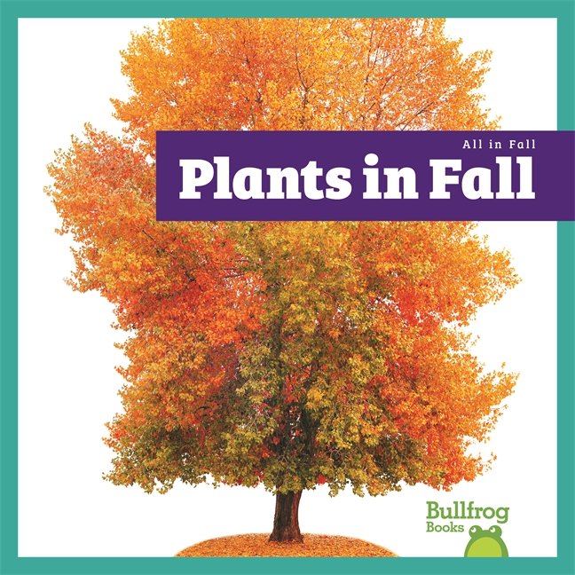 Grades 2-3 Nonfiction Decodables