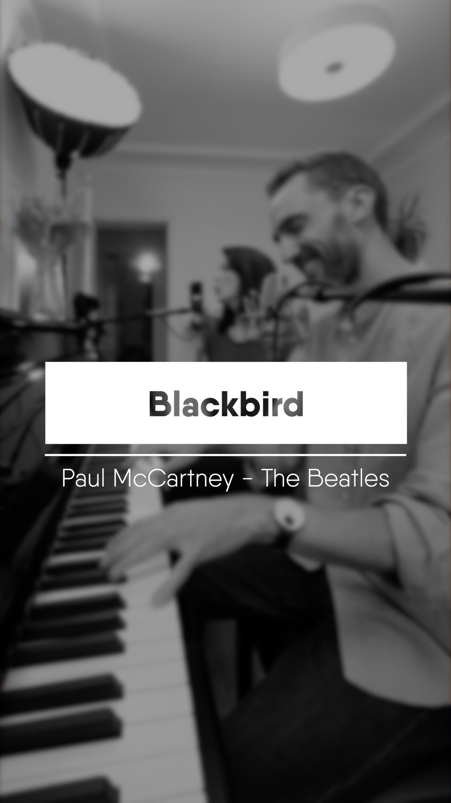 Blackbird