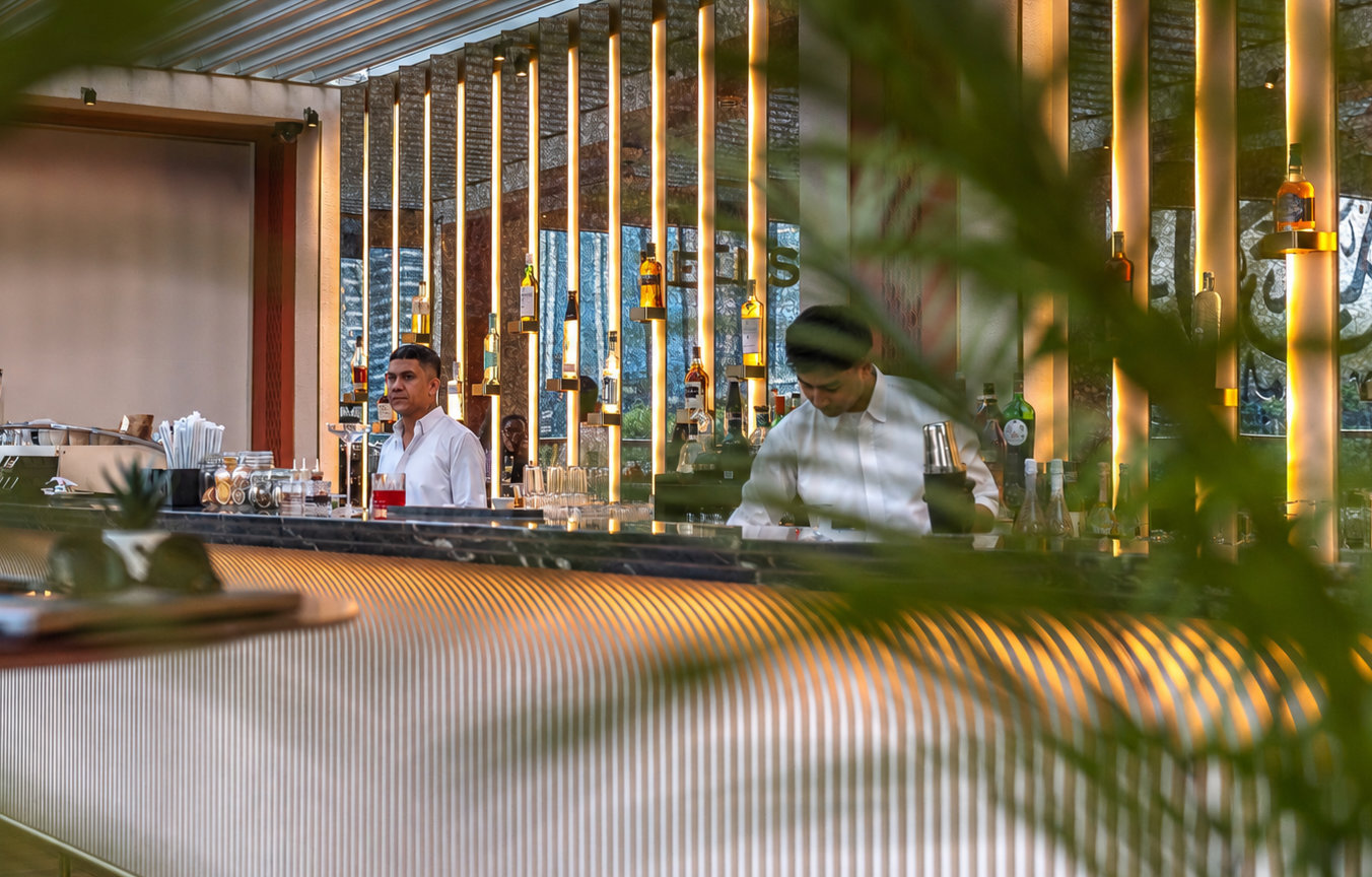Two bartenders working behind a modern bar with illuminated shelves and bottles, plants in foreground.