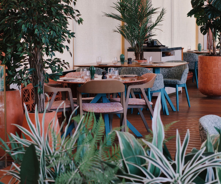 Restaurant seating area with tables, chairs, and various green plants in a cozy indoor setting.