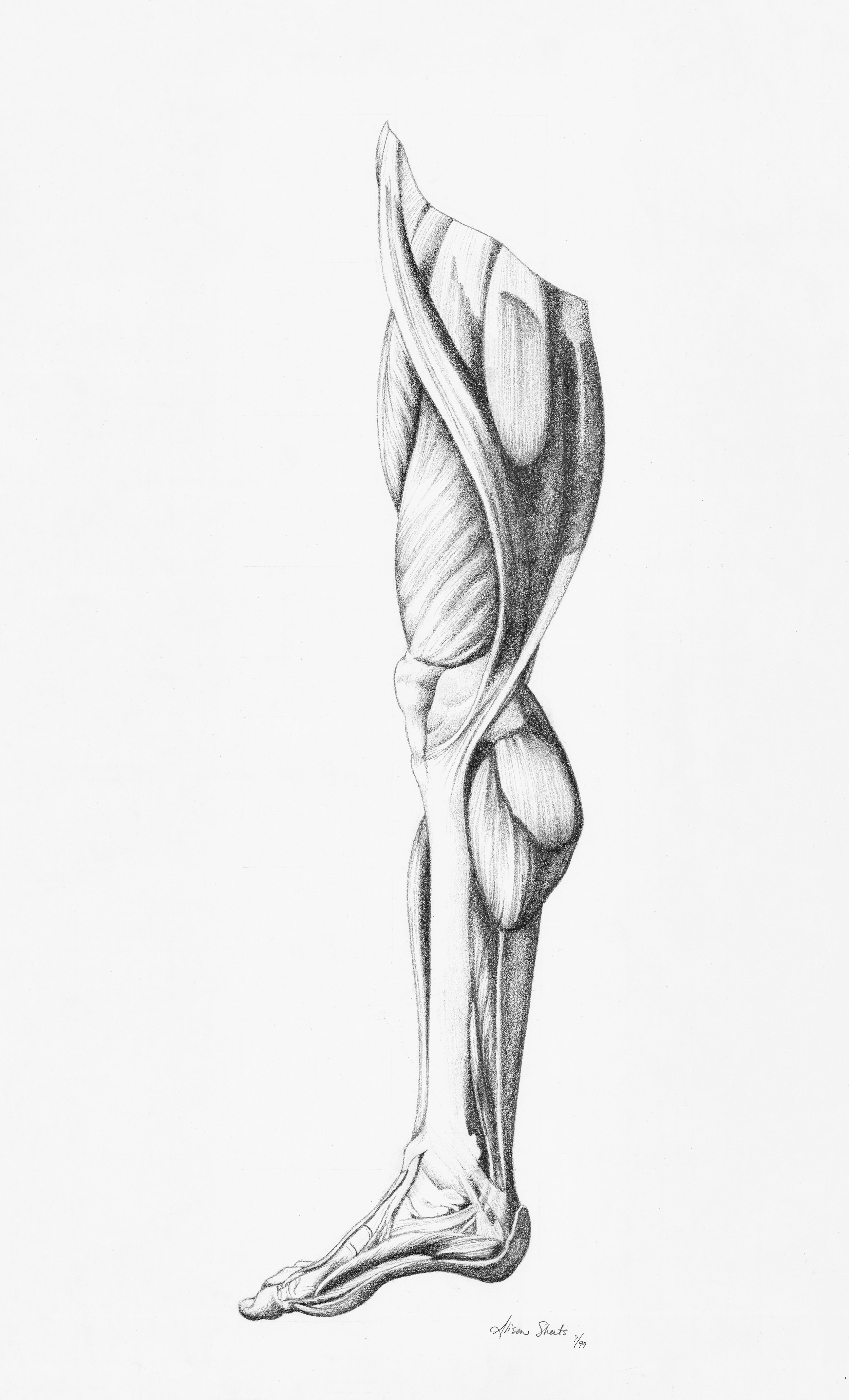 Study II
