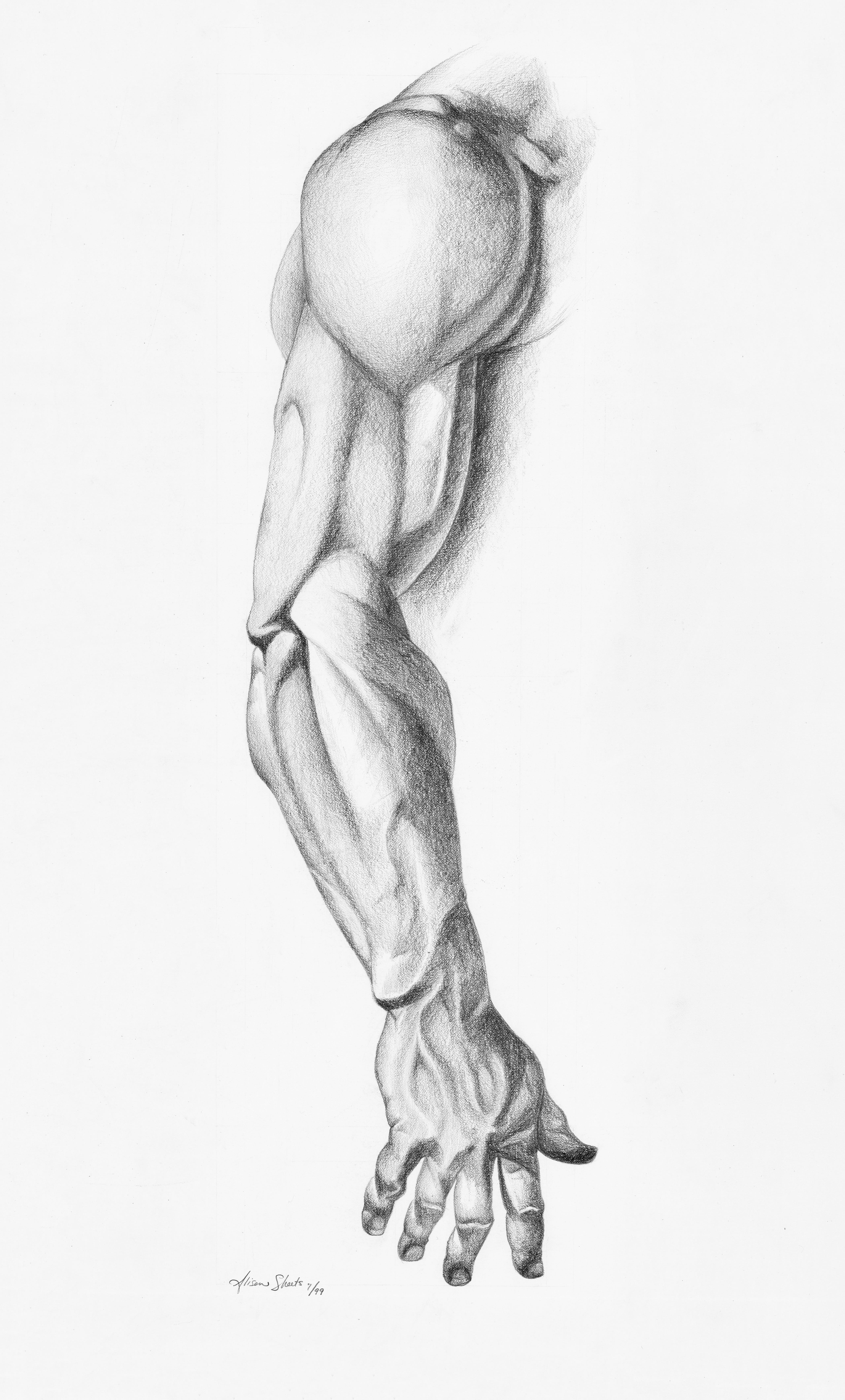 Study III