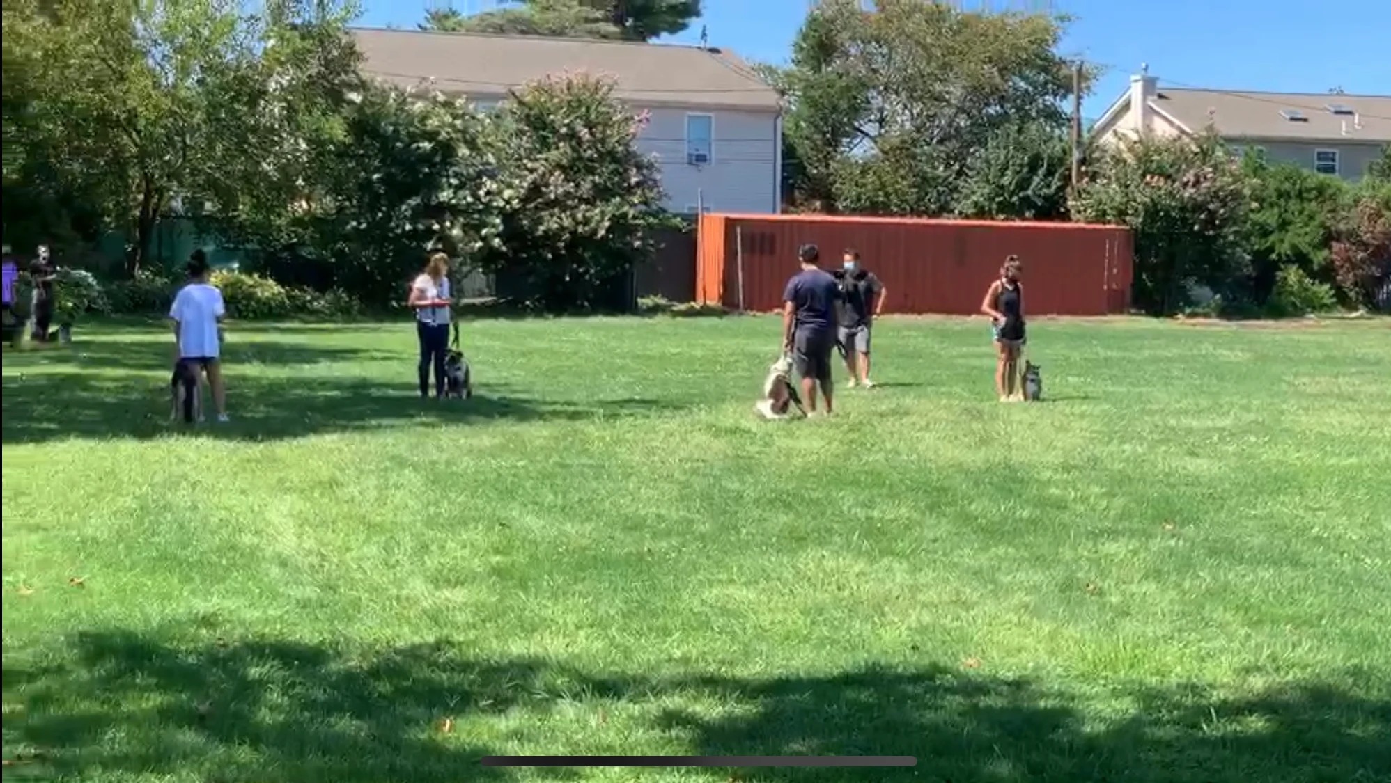 Leo, a Corgi, at the K9KEY group training session on a field