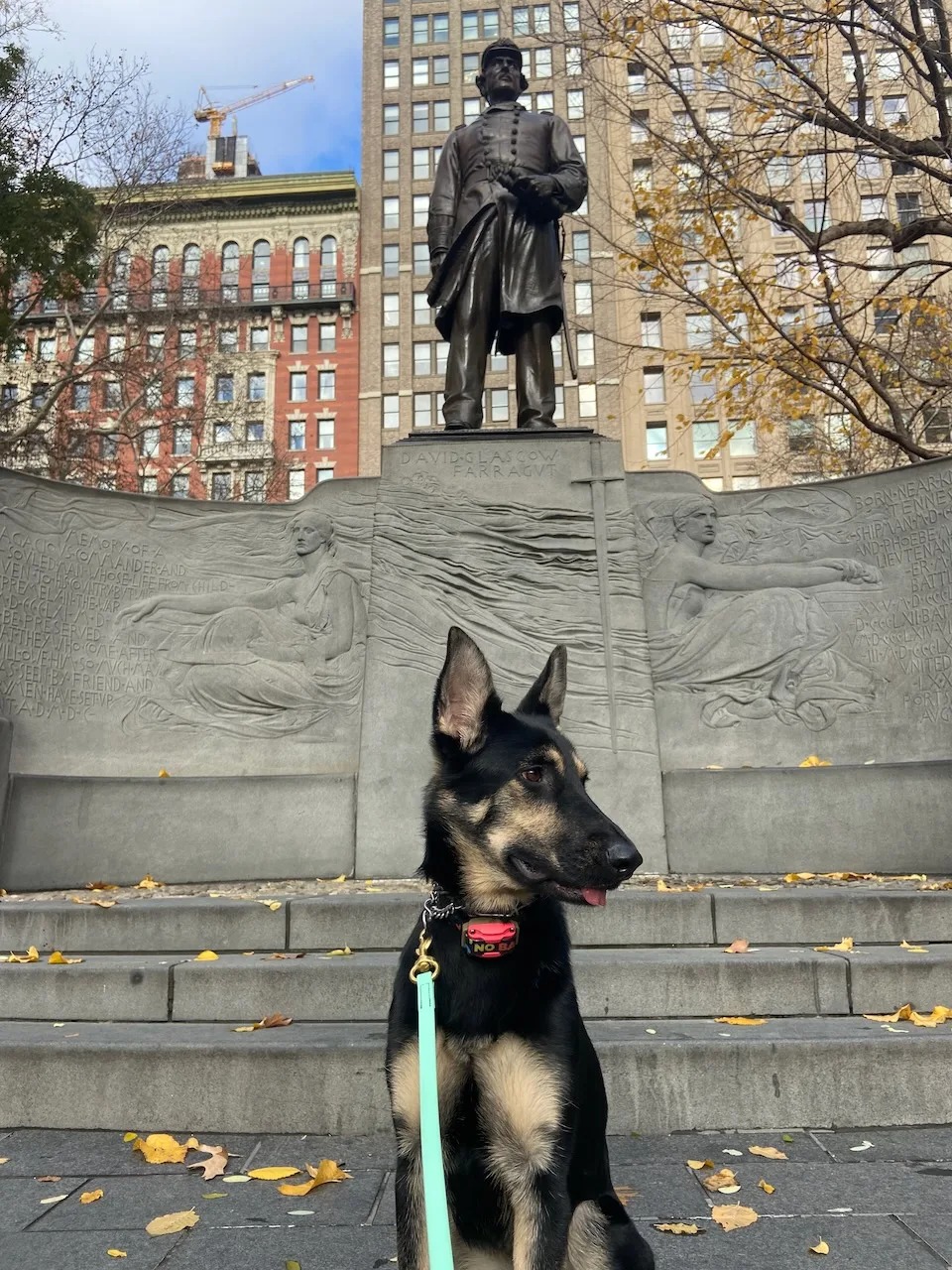 Lucy, a German Shepherd by a monument during a walk