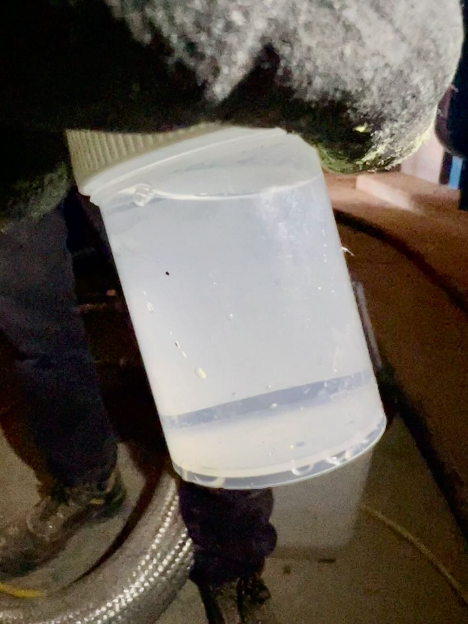 Gloved hand holding a clear plastic container filled with a transparent liquid outdoors.