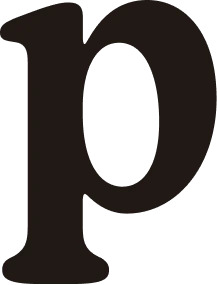 Lowercase letter p in a bold serif font on white background.