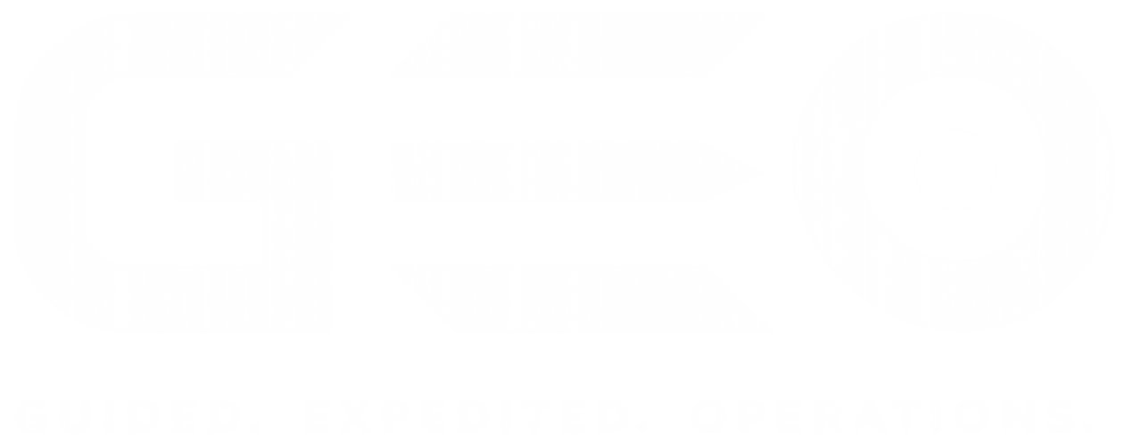 GEO LLC