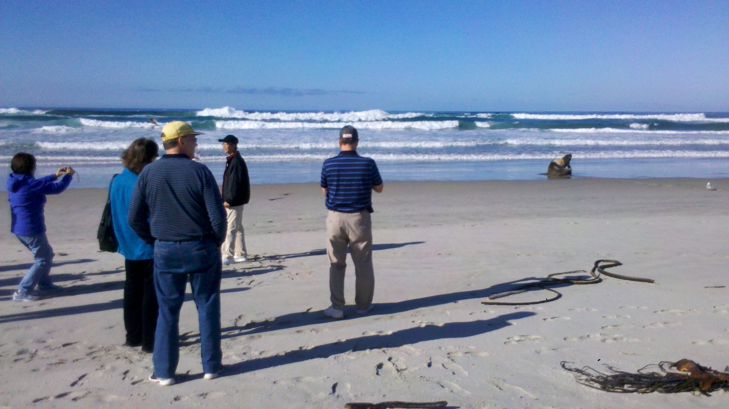 Dunedin and Otago Peninsula Tour