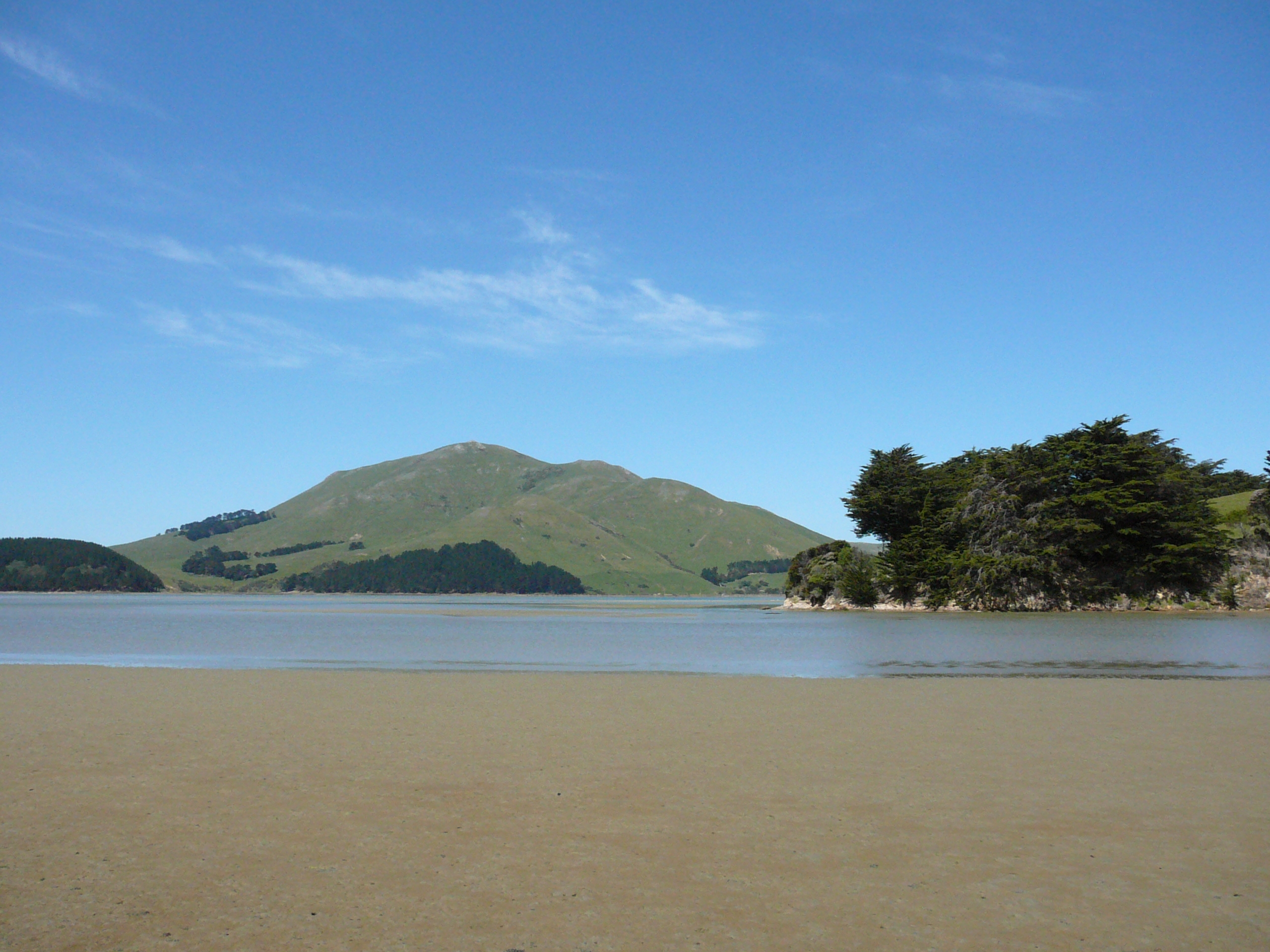 Dunedin and Otago Peninsula Tour