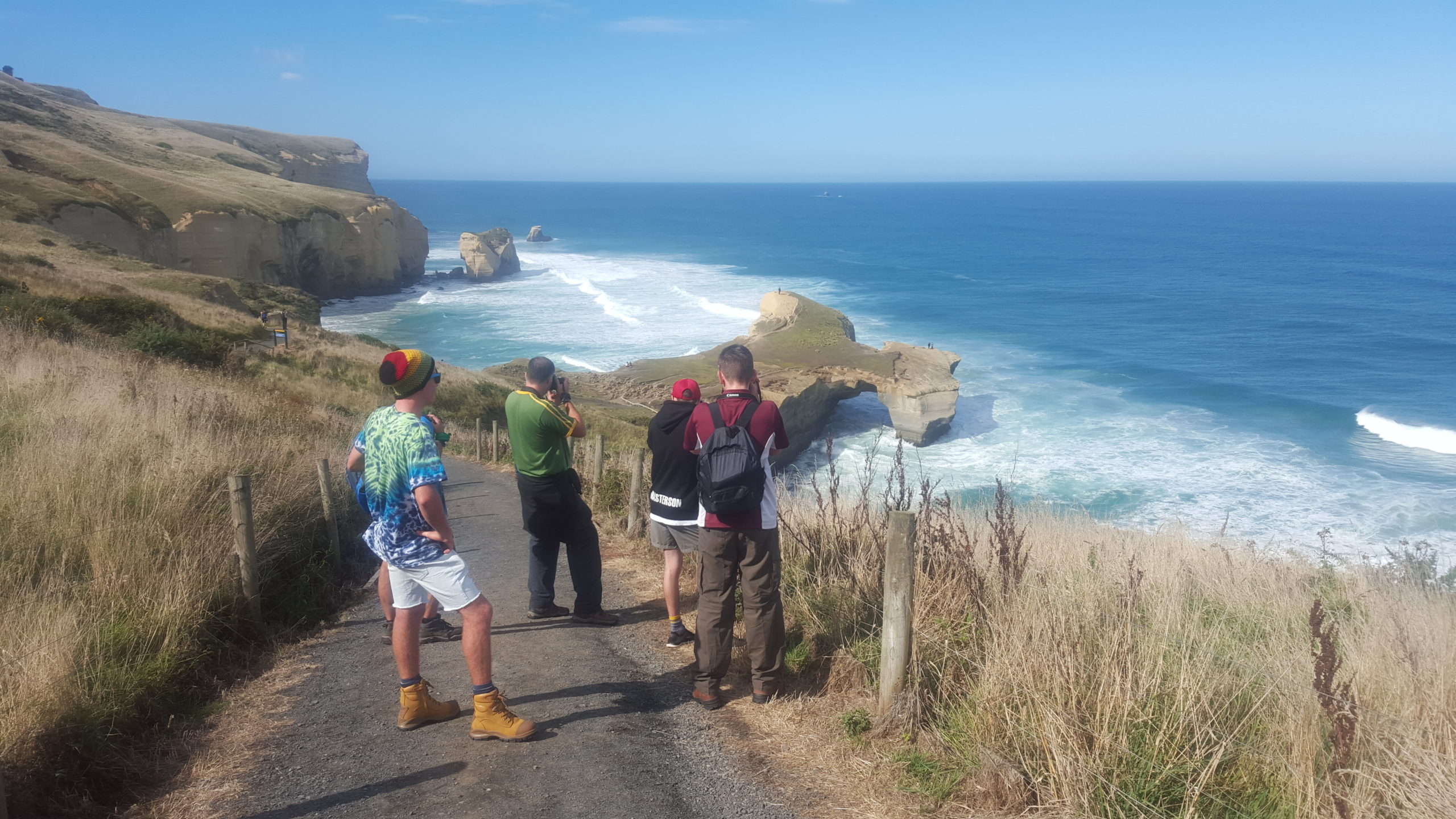 The Catlins Coast Tour